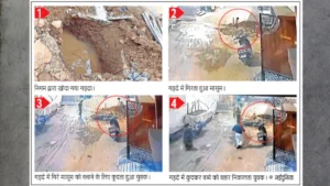 नगर निगम