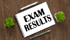 Student checking exam results online