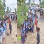 CG News : बारिश से नदी-नाले उफान पर, बच्चे जान जोखिम में डालकर जा रहे स्कूल