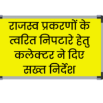 राजस्व प्रकरणों के त्वरित निपटारे हेतु कलेक्टर ने दिए सख्त निर्देश