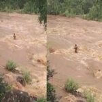 CG News : नदी में अचानक बढ़ा जलस्तर, तेज धार में घंटो फंसे रहे तीन बच्चे