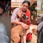‘डोगेश भाई तुम आगे बढ़ो…’ आवारा कुत्तों पर सुप्रीम कोर्ट के फैसले पर झूमे सेलेब्स, रवीना ने भी जताई खुशी
