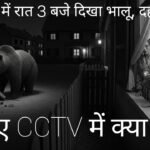 विडियो देखें: सेमरा गांव में रात 3 बजे सीसीटीवी में दिखा भालू, दहशत में ग्रामीण