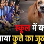 Chhattisgarh High Court : बच्चों को परोसा गया कुत्ते का जूठा भोजन, हाईकोर्ट सख्त, शिक्षा सचिव से मांगा जवाब