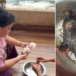लबूबू के आते ही शैतानी हरकत करने लगा बेटा, भारती सिंह का ठनका माथा, आग में जलाकर खाक कर दी गुड़िया
