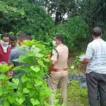 पड़ोसी ही निकला कातिल? रायगढ़ हत्याकांड में पुलिस की बड़ी कार्रवाई