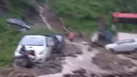 वैष्णो