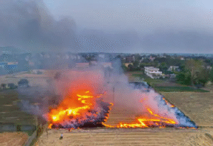 सुप्रीम