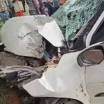 सड़क पर मवेशी को बचाने के चक्कर में अनियंत्रित कार पेड़ से टकराई, महिला की मौके पर हुई मौत, पति की हालत गंभीर…