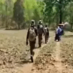 Bijapur Naxalite Encounter : बस्तर में पुलिस-नक्सली मुठभेड़, कई नक्सलियों के मारे जाने की आशंका