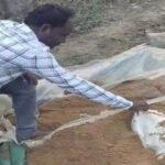 Avaidh Sharaab Network : गुड़ फैक्ट्री की आड़ में चल रहा था अवैध शराब निर्माण, पांच गिरफ्तार