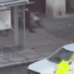 White house shooting : वॉशिंगटन डी.सी.,व्हाइट हाउस के पास 2 राष्ट्रीय गार्ड जवानों पर फायरिंग, संदिग्ध Afghan शरणार्थी हिरासत में