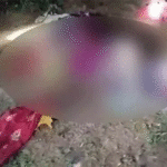 Haathiyon ka Utpaat : कोरिया में 11 हाथियों का झुंड बेकाबू, बुजुर्ग को कुचलकर मार