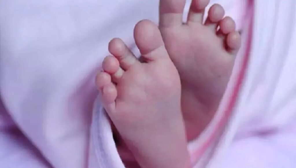 Newborn baby in the forest