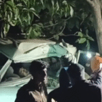 CG Road Accident : दर्शनार्थियों से भरी बोलेरो पेड़ से टकराई, 1 की मौत, 4 की हालत गंभीर