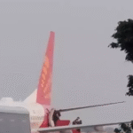 India and South Africa team Raipur : चार्टर्ड प्लेन से रायपुर आई भारत और दक्षिण अफ्रीका क्रिकेट टीम