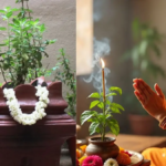 Tulsi Puja Niyam : तुलसी पूजा में नियमों का पालन जरूरी, तभी मिलेगा सुख-समृद्धि का आशीर्वाद