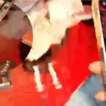 Amlidih Drugs Party : राजधानी रायपुर में बेखौफ ड्रग्स पार्टी, अमलीडीह से सामने आया वीडियो