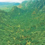 Aravali Hills Case : अरावली पर्वतमाला मामले में सुप्रीम कोर्ट का बड़ा फैसला: पुराने आदेश पर रोक, खनन पर विराम, बनेगी नई विशेषज्ञ समिति