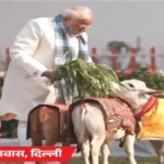 Mahakaleshwar Temple : मकर संक्रांति पर देशभर में धार्मिक उत्साह, तीर्थ स्थलों पर उमड़ी भीड़