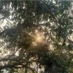 Weather Changed : सर्दी हुई कमजोर, न्यूनतम तापमान में बढ़ोतरी से लोगों को राहत