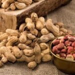 Peanuts Side Effects : स्वाद के चक्कर में कहीं बिगाड़ न लें सेहत, इन 5 तरह के लोगों के लिए ‘जहर’ है मूंगफली
