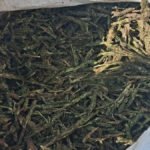 Action Against Drugs : एम्बुलेंस से 2.60 करोड़ का गांजा जब्त, ओडिशा से नागपुर ले जाया जा रहा था