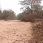 Naxal IED Recovery News : मौत का जाल नाकाम सड़क के नीचे मिले 2 शक्तिशाली बम, सुरक्षा बलों ने किया डिफ्यूज