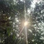 Raipur Weather Update : मौसम बदला रायपुर में तापमान गिरा, ठंडी हवाओं का असर तेज