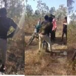 CG News : वन रक्षक की ग्रामीणों ने की जमकर धुनाई, जबरन डांस कराने का वीडियो वायरल