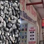 Dhamtari News Today : धमतरी जिला अस्पताल अलर्ट रतनजोत के बीज ने बच्चों को बनाया शिकार, इमरजेंसी वार्ड में 24 बच्चे भर्ती