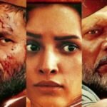 O Romeo Movie : वैलेंटाइन डे के बाद भी सिनेमाघरों में भीड़, शाहिद-तृप्ति की जोड़ी सुपरहिट