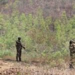 IED Blast News : सुरक्षाबलों पर बड़ी साजिश नक्सलियों के ‘प्रेशर बम’ ने फिर बढ़ाई चिंता, सर्चिंग तेज