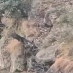 गुफा में छिपे जैश आतंकियों का काल बनी भारतीय सेना’ उधमपुर में 2 पाकिस्तानी कमांडर ढेर, ग्रेनेड से उड़ाई दहशतगर्दों की पनाहगाह