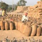 CG Purchased Paddy : महासमुंद के किसानों ने रचा इतिहास, भुगतान में प्रदेश में नंबर-1; देखें टॉप-10 जिलों की लिस्ट