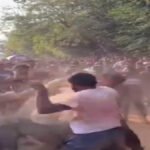 CG NEWS : GGU में ‘प्री-होली’ का खूनी खेल’ छात्रों के बीच जमकर चले लात-घूंसे, प्रशासनिक भवन के पास मचा तांडव