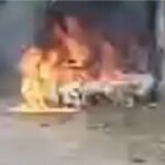 CG Breaking News : कार में लगी आग, कोरबा के जंगल में हुआ बड़ा हादसा