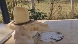 Holi Security AlertHoli Security Alert