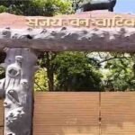 Chhattisgarh News : लापरवाही की हद कुत्तों ने बाड़े में घुसकर किया 15 हिरणों का शिकार, डीएफओ ने बैठाई जांच