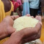 Chhattisgarh Ration Distribution 2026 : सरकारी दुकानों पर पहुंची स्टॉक की खेप, 2 माह के राशन वितरण के निर्देश