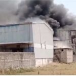 Chhattisgarh News : धुएं के गुबार में छिपा हरिनछपरा , राइस मिल में लगी आग ने लिया विकराल रूप, ग्रामीणों और दमकल की जंग जारी