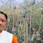 CM Vishnu Deo Sai : छत्तीसगढ़ में अफीम की खेती पर ‘सर्जिकल स्ट्राइक’ की तैयारी , बड़े नेताओं और रसूखदारों का संरक्षण होगा खत्म