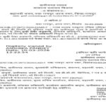 CG NEWS : युद्धग्रस्त देशों में फंसे छत्तीसगढ़ियों की मदद के लिए साय सरकार ने संभाला मोर्चा, नोडल अधिकारी की हुई नियुक्ति