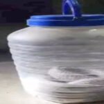 CG NEWS : रिहायशी मकान में निकले दो विशाल नाग, वन विभाग ने किया सुरक्षित रेस्क्यू; दहशत में रहे घरवाले