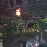 SCB Medical College Fire : SCB अस्पताल अग्निकांड तड़के 3 बजे ICU बना मौत का फंदा, 10 ने तोड़ा दम, 5 की हालत गंभीर