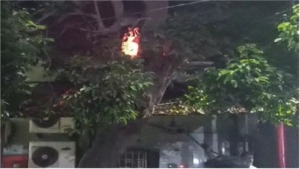 SCB Medical College Fire