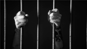 Una Case 2016 Conviction