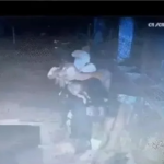 Chhattisgarh Crime News : दीवार तोड़कर उड़ाए 37 बकरे पुलिस ने दबोचे दो शातिर चोर, ₹4000 में बेच दिए थे 4 मवेशी