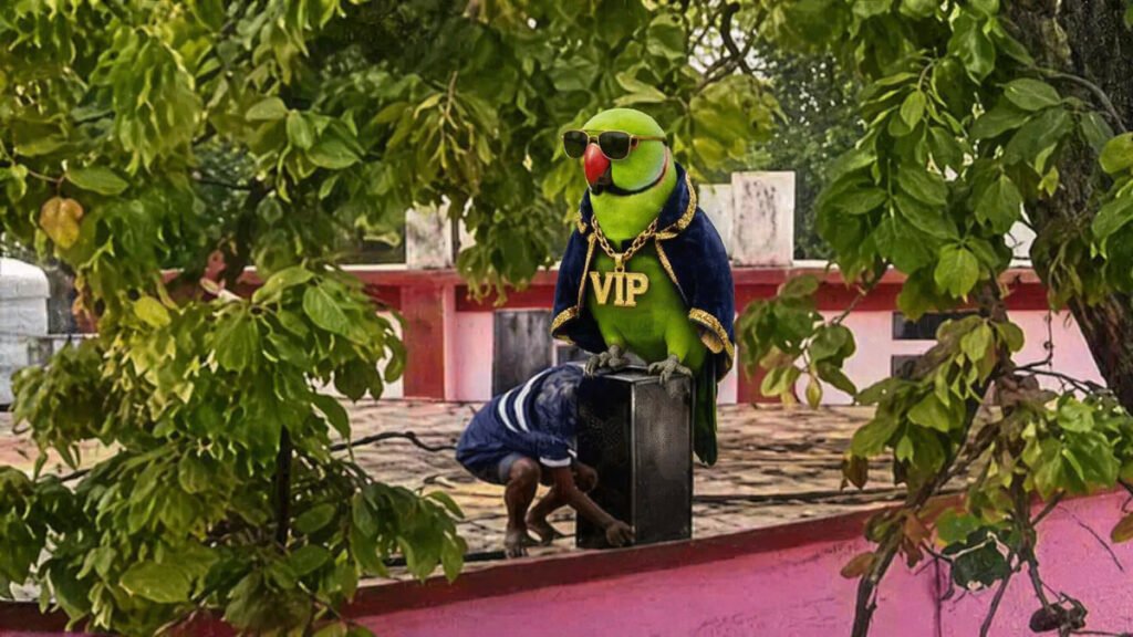 Chhattisgarh VIP Culture News