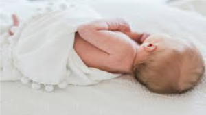 Chhattisgarh Crime News